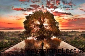 HUGH JACKMAN stars as Tomas (in silhouette walking towards the Tree) in Warner Bros. Pictures and Regency Enterprises sci-fi fantasy The Fountain. RACHEL WEISZ also stars. PHOTOGRAPHS TO BE USED SOLELY FOR ADVERTISING, PROMOTION, PUBLICITY OR REVIEWS OF THIS SPECIFIC MOTION PICTURE AND TO REMAIN THE PROPERTY OF THE STUDIO. NOT FOR SALE OR REDISTRIBUTION