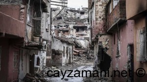 halep